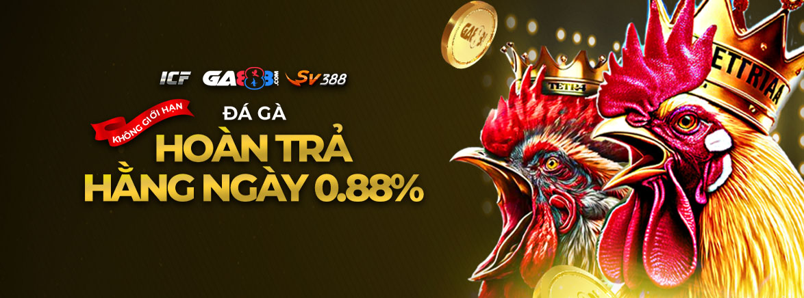 Đá Gà Hoàn trả hằng ngày 0.88% Đá Gà Hoàn trả hằng ngày 0.88%