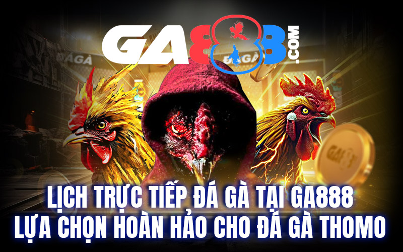 Lịch Trực Tiếp Đá Gà Tại GA888 - Lựa Chọn Hoàn Hảo Cho Đá Gà Thomo