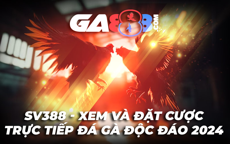 Sv388 - Xem Và Đặt Cược Trực Tiếp Đá Gà Độc Đáo 2024