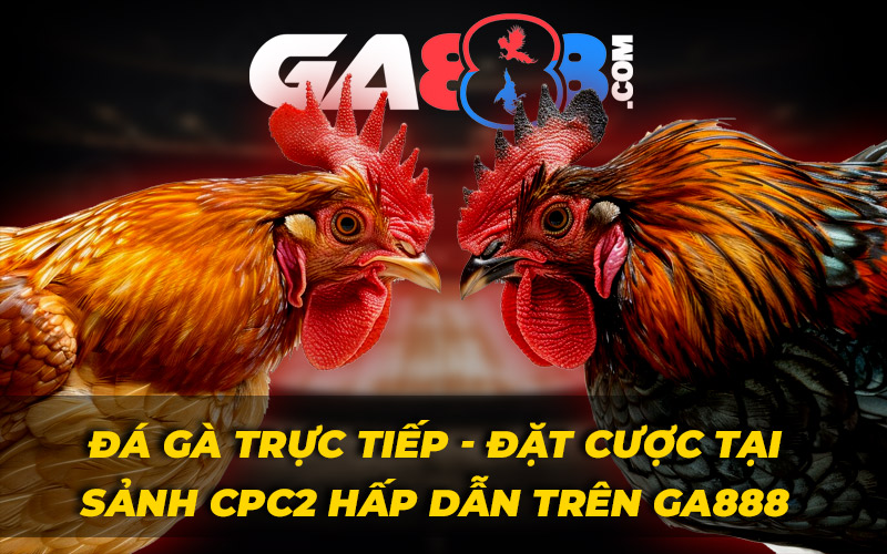Đá Gà Trực Tiếp - Đặt Cược Tại Sảnh CPC2 Hấp Dẫn Trên GA888