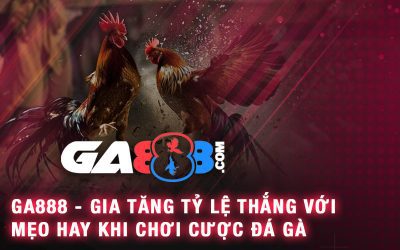 GA888 – Gia Tăng Tỷ Lệ Thắng Với Mẹo Hay Khi Chơi Cược Đá Gà