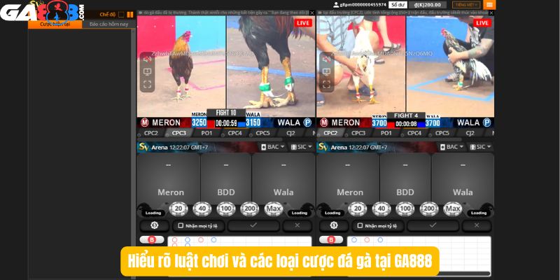 Hiểu rõ luật chơi và các loại cược đá gà tại GA888