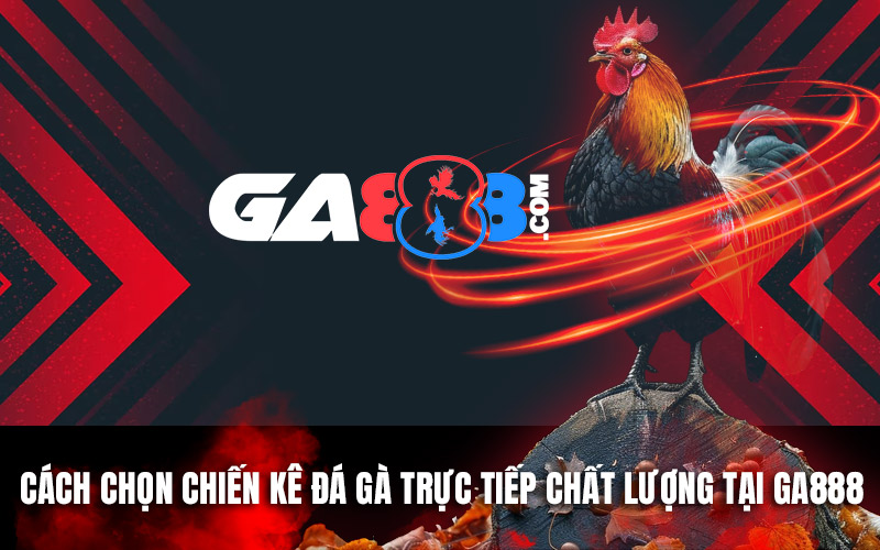 Cách Chọn Chiến Kê Đá Gà Trực Tiếp Chất Lượng Tại GA888