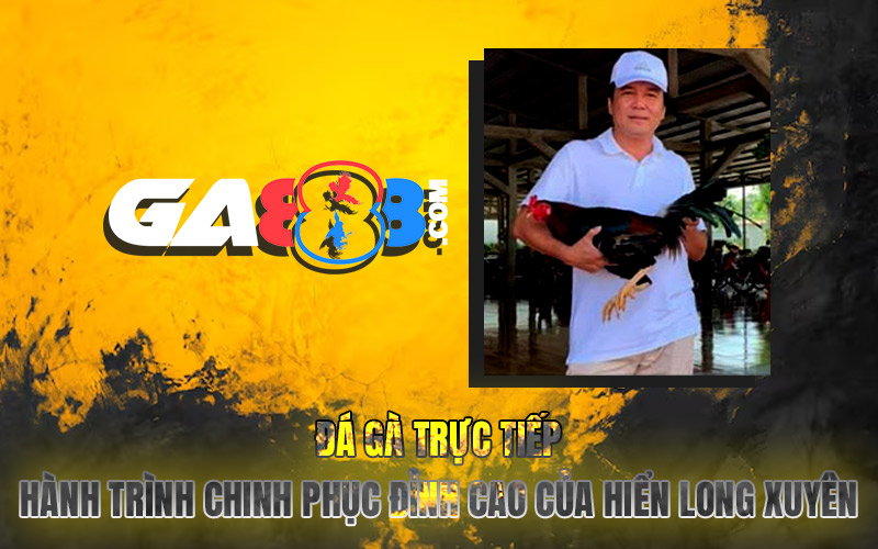 Đá Gà Trực Tiếp – Hành Trình Chinh Phục Đỉnh Cao Của Hiển Long Xuyên