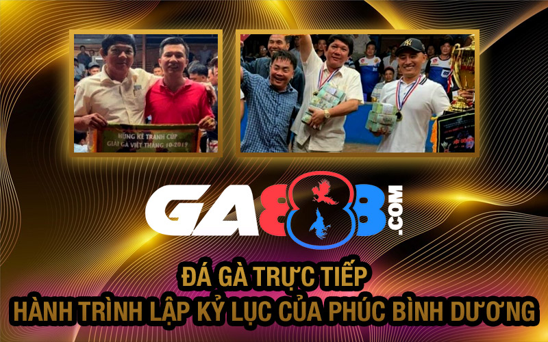 Đá Gà Trực Tiếp – Hành Trình Lập Kỷ Lục Của Phúc Bình Dương