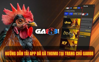 Hướng Dẫn Tải App Đá Gà Thomo Tại Trang Chủ GA888