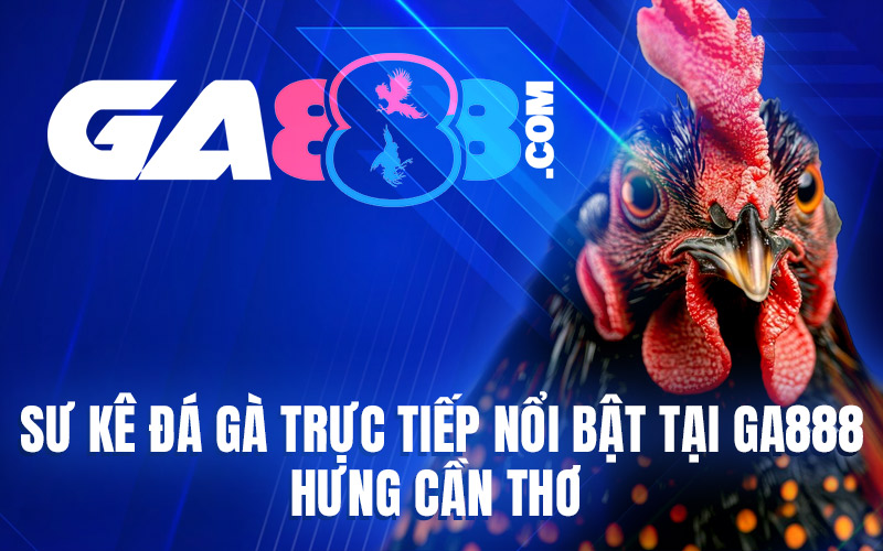 Sư Kê Đá Gà Trực Tiếp Nổi Bật Tại GA888 – Hưng Cần Thơ