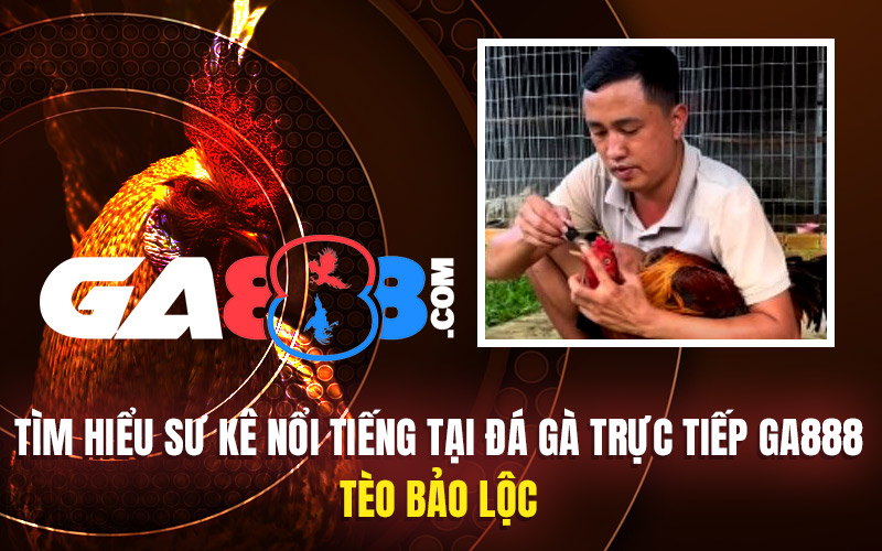 Tìm Hiểu Sư Kê Nổi Tiếng Tại Đá Gà Trực Tiếp GA888 – Tèo Bảo Lộc