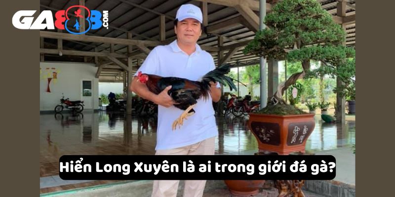 Hiển Long Xuyên là ai trong giới đá gà?