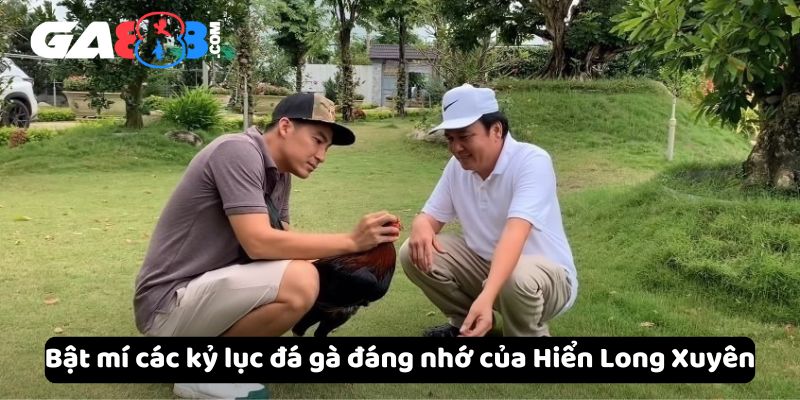 Bật mí các kỷ lục đá gà đáng nhớ của Hiển Long Xuyên