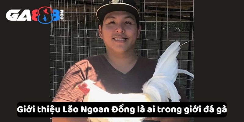Giới thiệu Lão Ngoan Đồng là ai trong giới đá gà