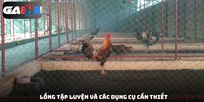 Lồng tập luyện và các dụng cụ cần thiết