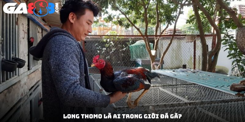 Long Thomo là ai trong giới đá gà?