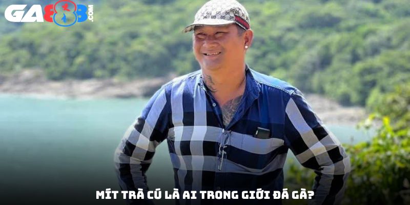 Mít Trà Cú là ai trong giới đá gà?