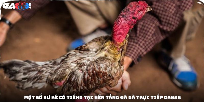 Một số sư kê có tiếng tại nền tảng đá gà trực tiếp GA888