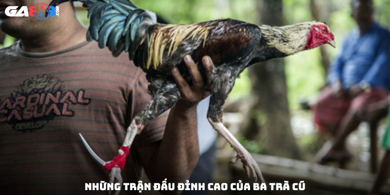 Những trận đấu đỉnh cao của Ba Trà Cú