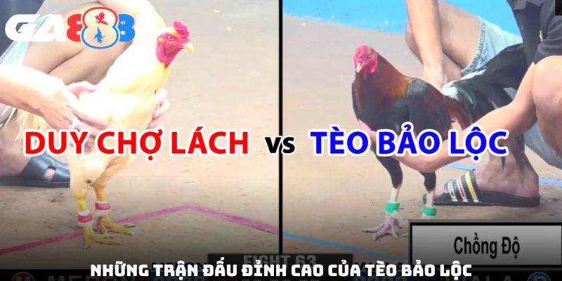 Những trận đấu đỉnh cao của Tèo Bảo Lộc