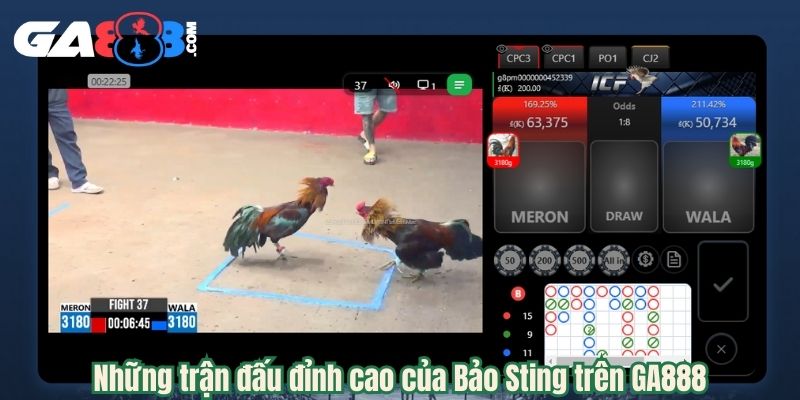 Những trận đấu đỉnh cao của Bảo Sting trên GA888