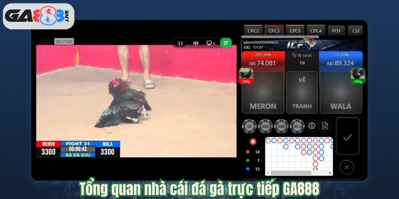Tổng quan nhà cái đá gà trực tiếp GA888