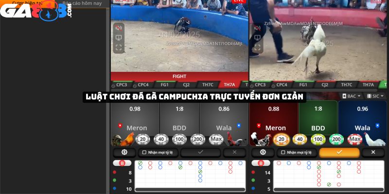 Luật chơi đá gà trực tuyến campuchia đơn giản