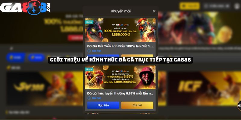 Giới thiệu về hình thức đá gà trực tiếp tại GA888