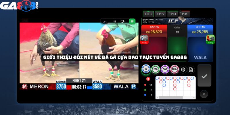 Giới thiệu đôi nét về đá gà cựa dao trực tuyến GA888
