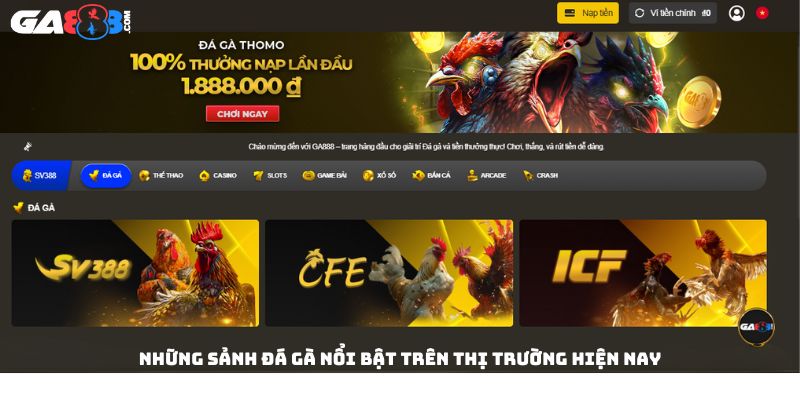 Những sảnh đá gà nổi bật trên thị trường hiện nay