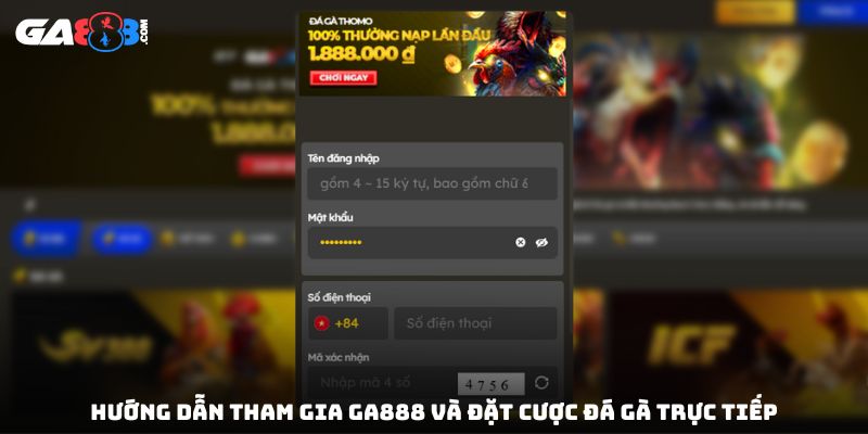Hướng dẫn tham gia GA888 và đặt cược đá gà trực tiếp