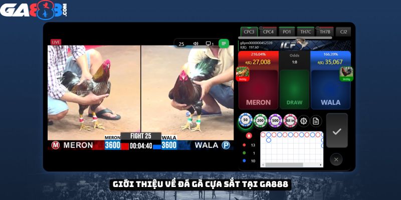 Giới thiệu về đá gà cựa sắt tại GA888