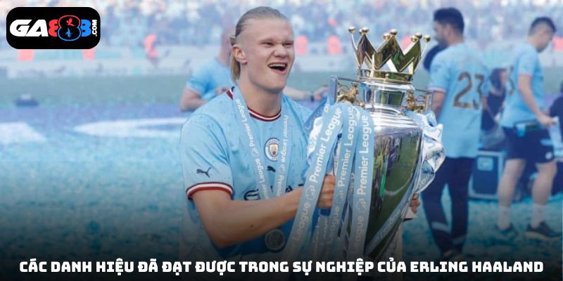 Các danh hiệu đã đạt được trong sự nghiệp của Erling Haaland