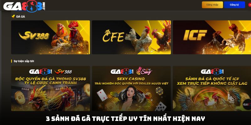3 sảnh đá gà trực tiếp uy tín nhất hiện nay