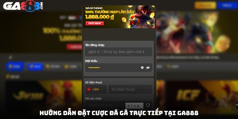 Hướng dẫn đặt cược đá gà trực tiếp tại GA888