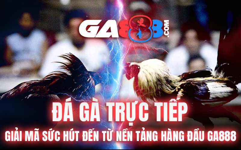 Đá Gà Trực Tiếp – Giải Mã Sức Hút Đến Từ Nền Tảng Hàng Đầu GA888