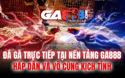 Đá Gà Trực Tiếp Tại Nền Tảng GA888 – Hấp Dẫn Và Vô Cùng Kịch Tính
