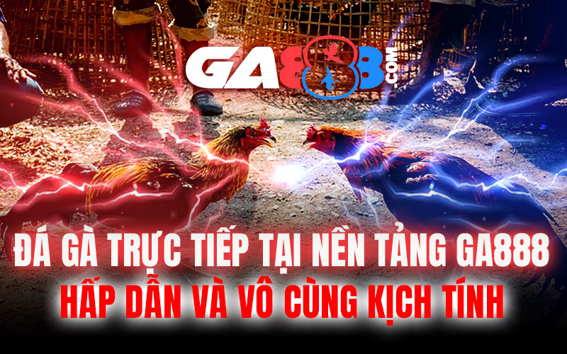 Đá Gà Trực Tiếp Tại Nền Tảng GA888 – Hấp Dẫn Và Vô Cùng Kịch Tính