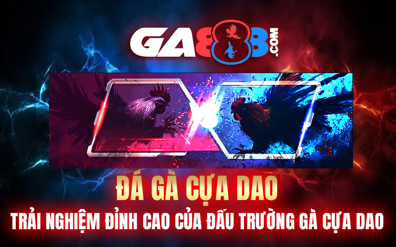 Đá gà cựa dao – Trải Nghiệm Đỉnh Cao Của Đấu Trường Gà Cựa Dao