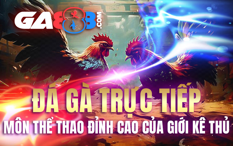 Đá gà trực tiếp – Môn Thể Thao Đỉnh Cao Của Giới Kê Thủ