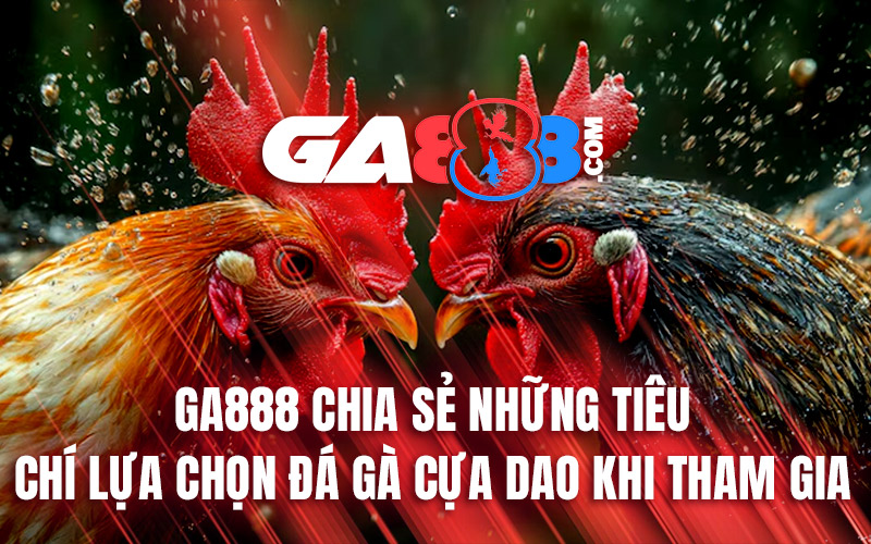 GA888 chia sẻ những tiêu chí lựa chọn đá gà cựa dao khi tham gia