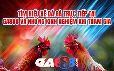 Tìm hiểu về đá gà trực tiếp tại GA888 và những kinh nghiệm khi tham gia