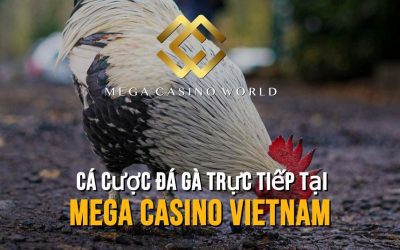 Cá Cược Đá Gà Trực Tiếp tại Mega Casino Vietnam