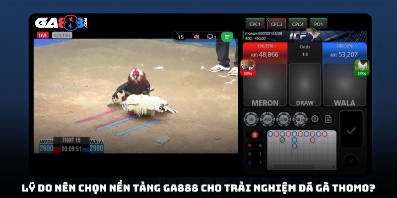 Lý do nên chọn nền tảng GA888 cho trải nghiệm đá gà Thomo?