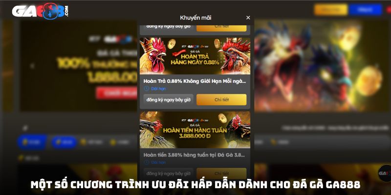 Một số chương trình ưu đãi hấp dẫn dành cho đá gà GA888