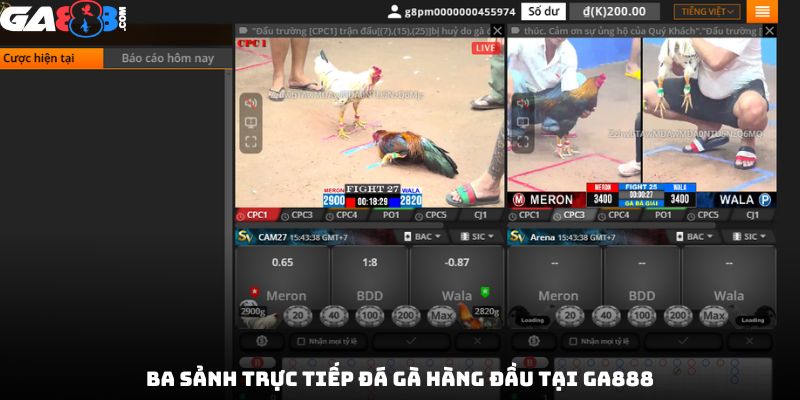 Ba sảnh trực tiếp đá gà hàng đầu tại GA888