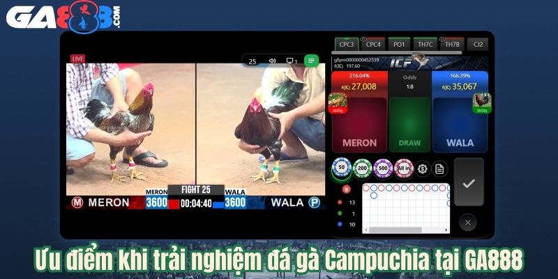 Ưu điểm khi trải nghiệm đá gà Campuchia tại GA888