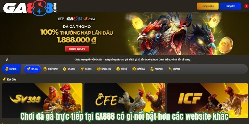 Chơi đá gà trực tiếp tại GA888 có gì nổi bật hơn các website khác