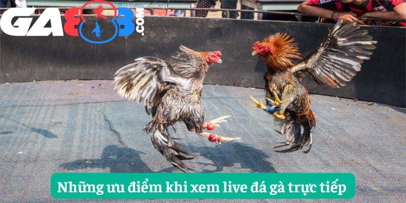 Những ưu điểm khi xem live đá gà trực tiếp 