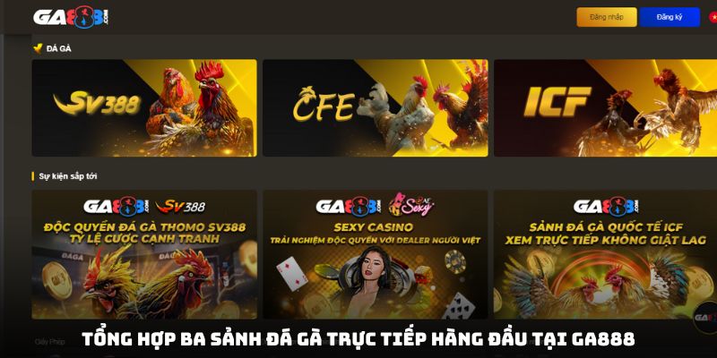 Tổng hợp ba sảnh đá gà trực tiếp hàng đầu tại GA888