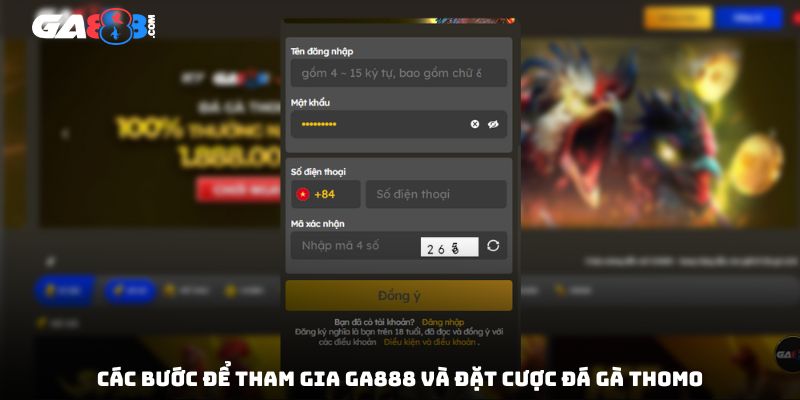 Các bước để tham gia GA888 và đặt cược đá gà Thomo