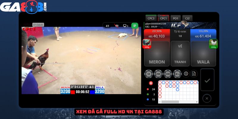 Xem đá gà trực tiếp full HD 4K tại GA888