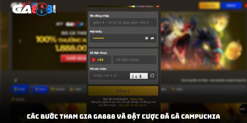 Các bước tham gia GA888 và đặt cược đá gà Campuchia